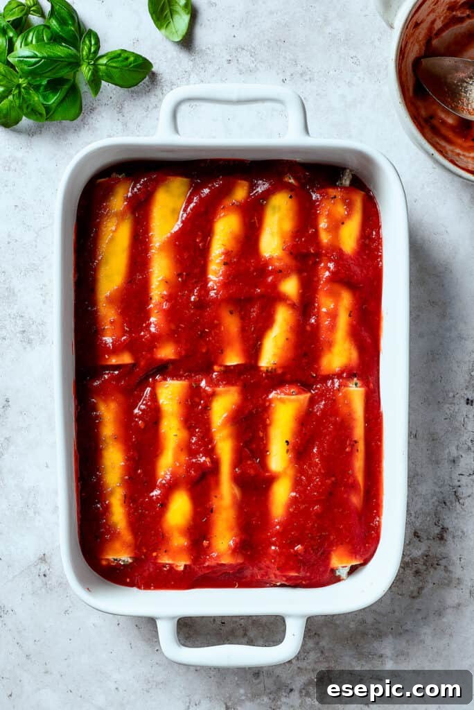 Pasta topped with sauce in a baking dish.
