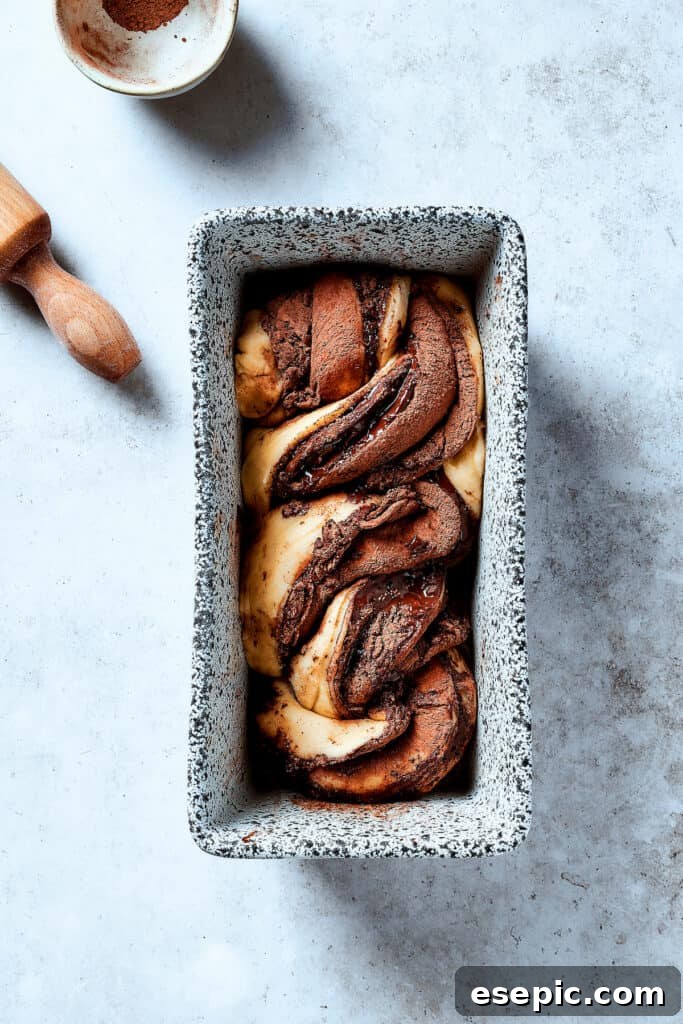 Sweet, puffy Chocolate Babka is an old-fashioned yeast bread swirled with layers of chocolate. Perfect for a special breakfast or dessert. The intricately twisted chocolate-filled dough carefully placed into a loaf pan, ready for its final rise and baking.