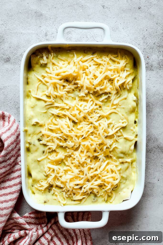 Unbaked shrimp enchiladas.