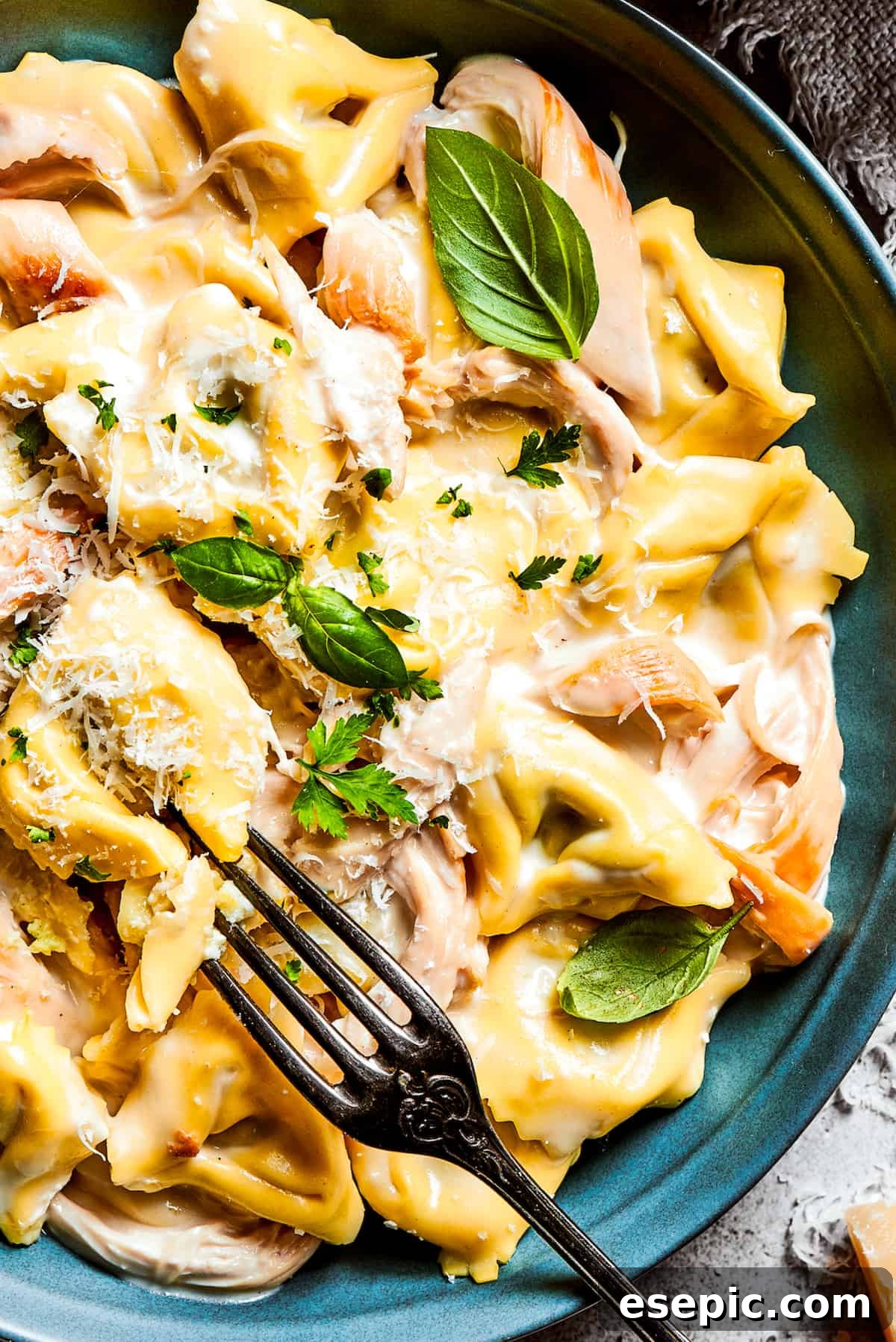 A blue bowl filled with a creamy portion of chicken tortellini alfredo, garnished with grated Parmesan cheese and fresh basil leaves.