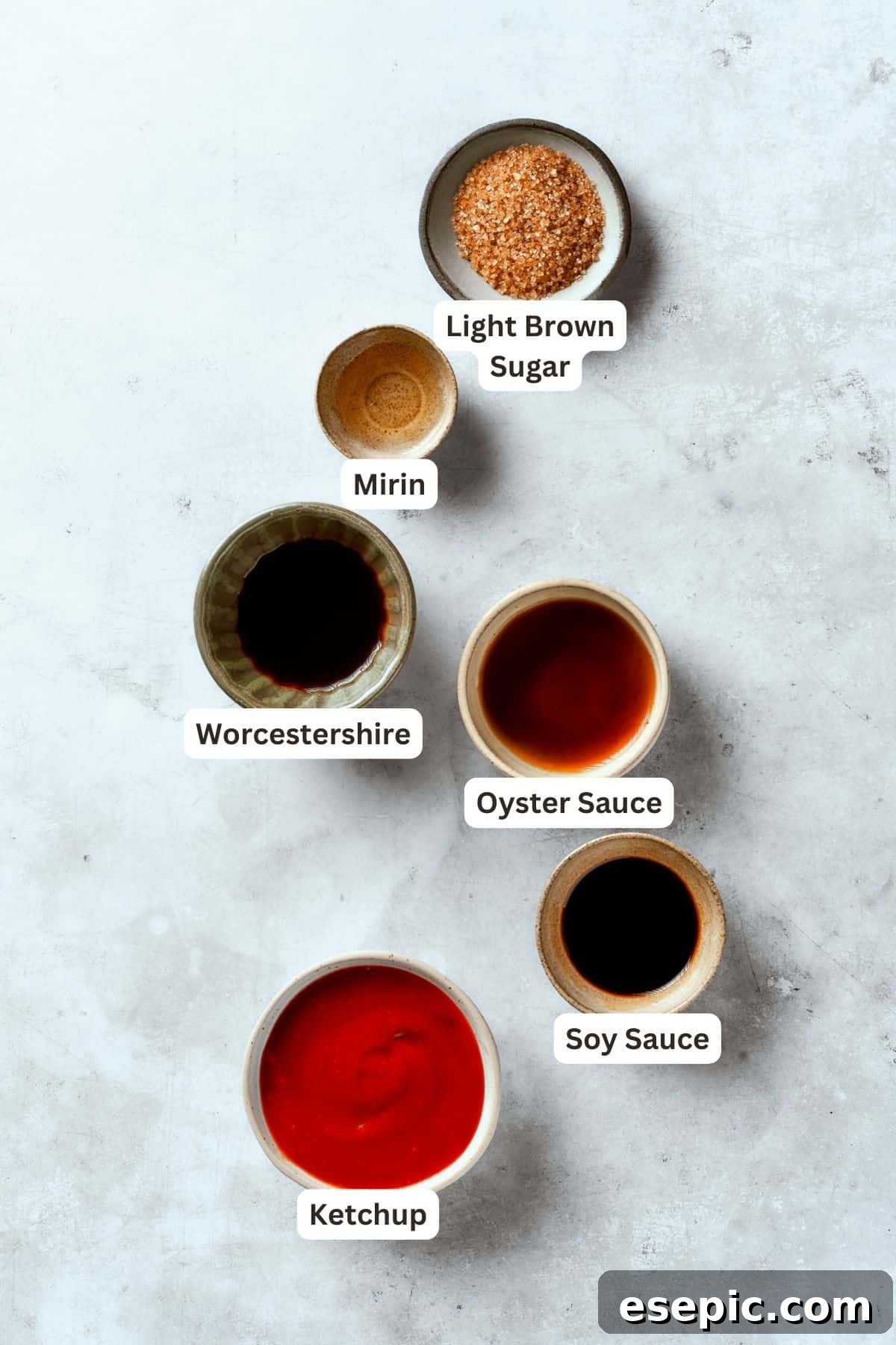 Create your own delicious Tonkatsu sauce with these essential ingredients. A vibrant display of ingredients for homemade Tonkatsu sauce, neatly portioned and labeled: oyster sauce, soy sauce, mirin, Worcestershire sauce, brown sugar, and ketchup.