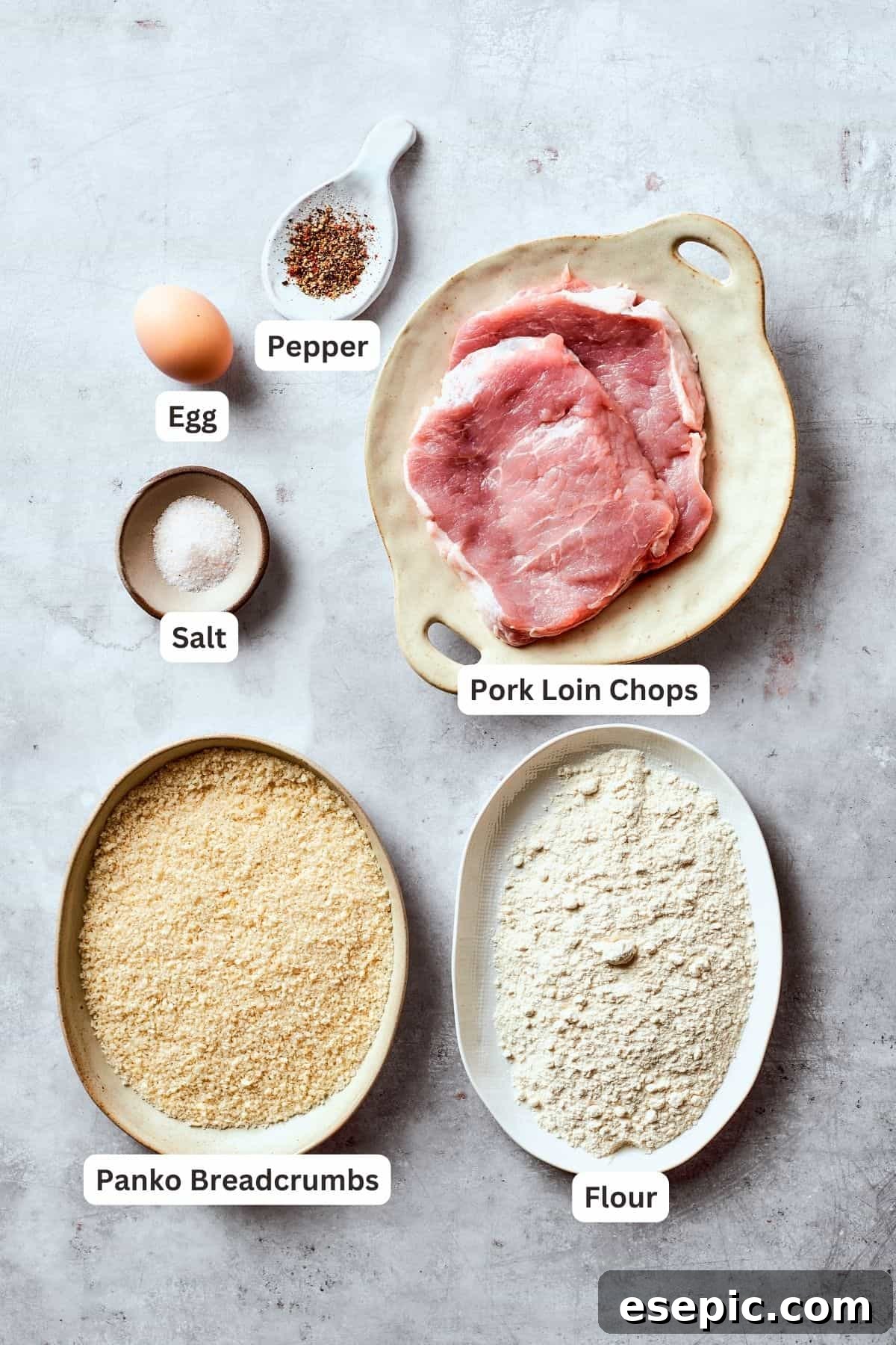 A visual guide to all the ingredients needed for a delicious and crispy Pork Katsu. The essential ingredients for crafting perfect Pork Katsu are meticulously arranged and labeled: pork cutlets, panko breadcrumbs, salt and pepper, egg, frying oil, and all-purpose flour.