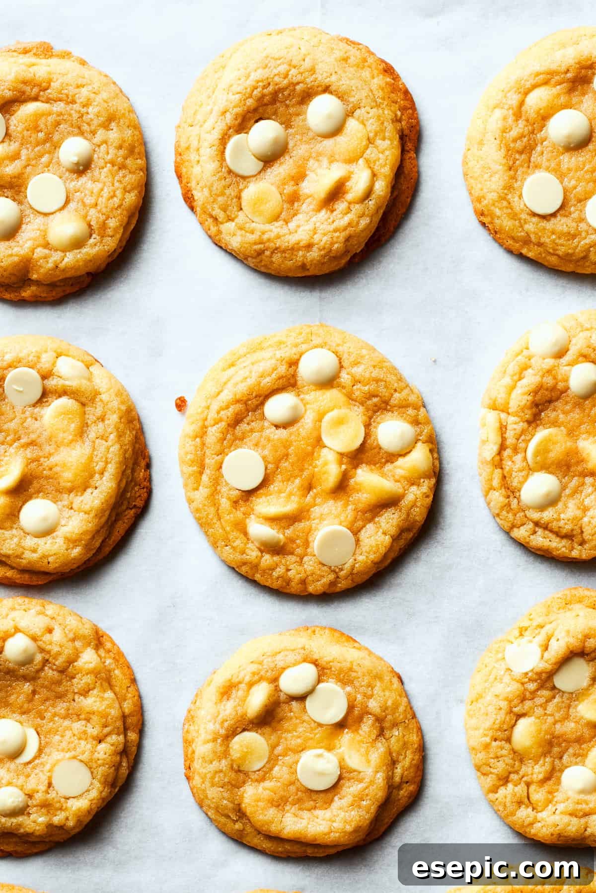 Discover the ultimate chewy, buttery White Chocolate Chip Cookies, bursting with creamy, sweet white chocolate chips for a delightful and unique flavor. Nine perfectly baked chewy white chocolate chip cookies arranged neatly on a white background, highlighting their golden edges and soft centers.