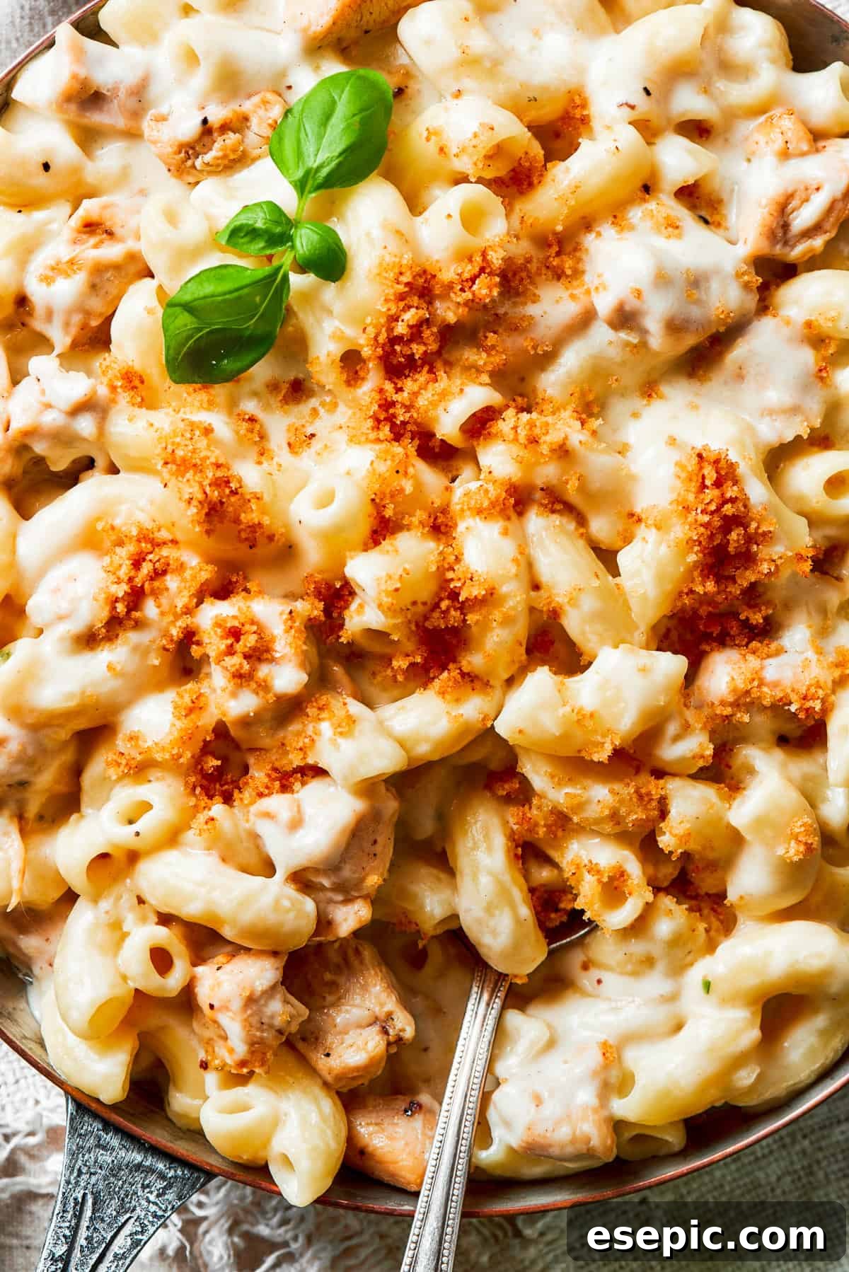 A close-up of a bowl of creamy Chicken Mac and Cheese, with a spoon digging in, showing the rich sauce and tender chicken.
