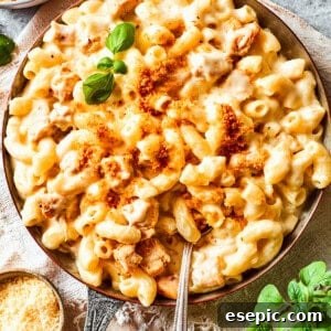 A close-up of a bowl of creamy Chicken Mac and Cheese, with a spoon digging in, showing the rich sauce and tender chicken.