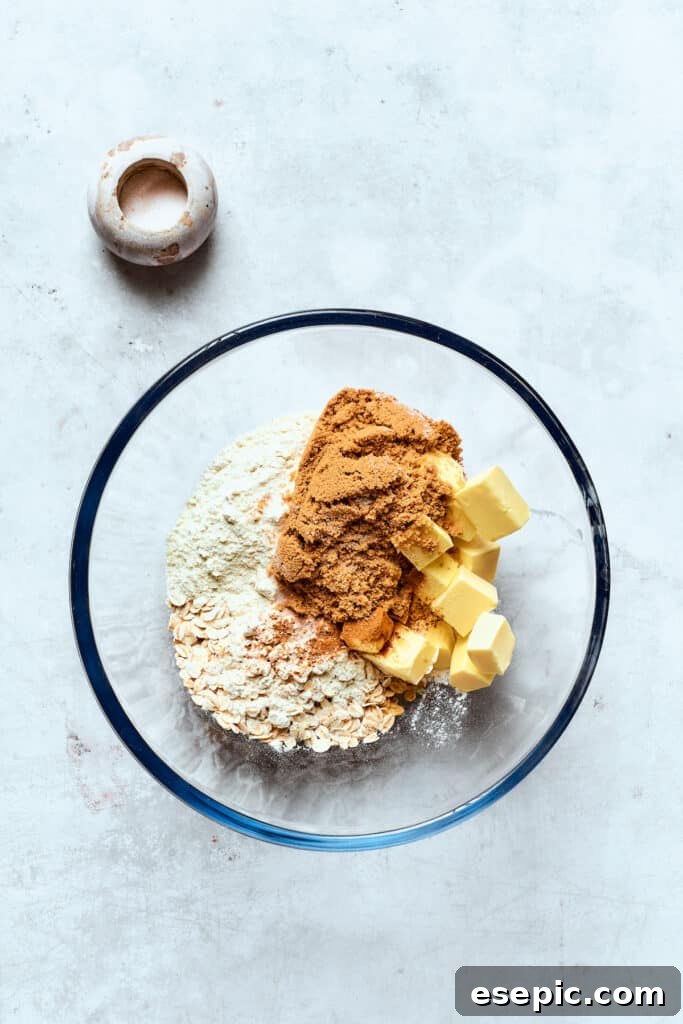 A simple beginning: oats, flour, brown sugar, vanilla, cinnamon, and salt mixed for the crisp topping. All the dry ingredients for the crisp topping—oats, flour, brown sugar, cinnamon, and salt—are combined in a mixing bowl.