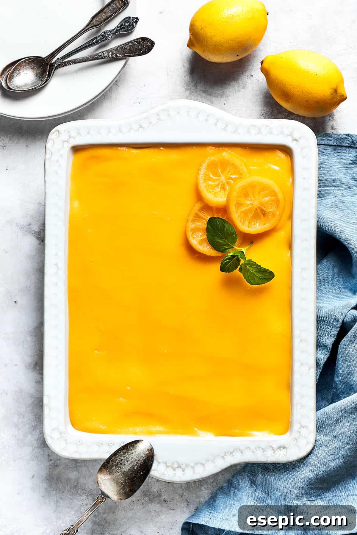 An overhead image of a finished dish of lemon tiramisu, garnished with fresh lemon slices and mint leaves, ready to be chilled.