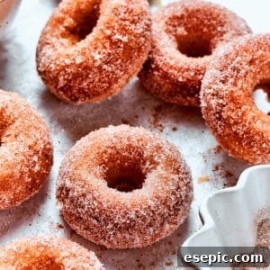 Cinnamon sugar sparkles on baked apple cider donuts, glistening and ready to be enjoyed.