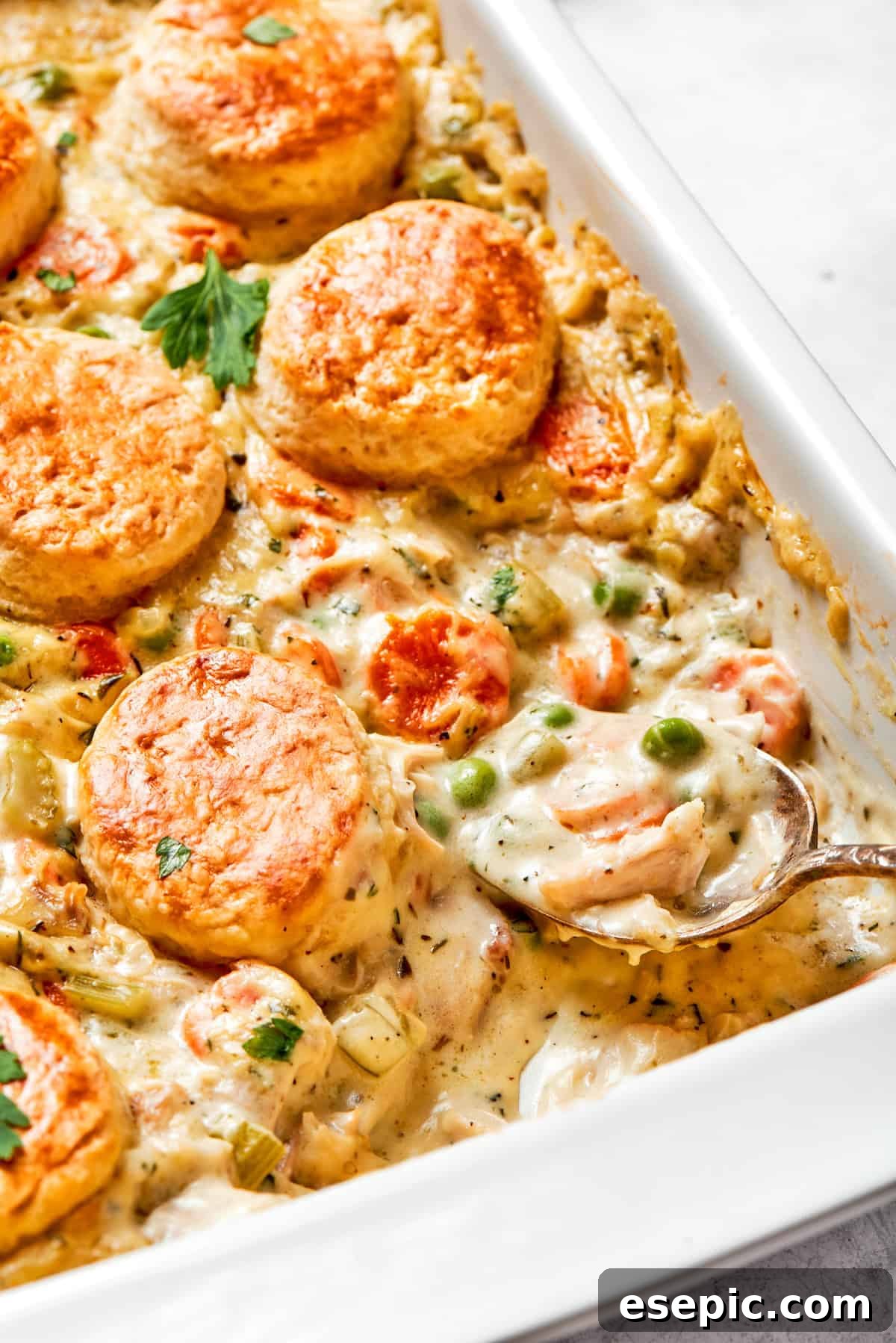 Chicken pot pie casserole is everything you love about the classic comfort food, baked under fluffy buttermilk biscuits instead of pie crust! A golden-brown chicken pot pie casserole with fluffy biscuit topping in a white baking dish, ready to be served.