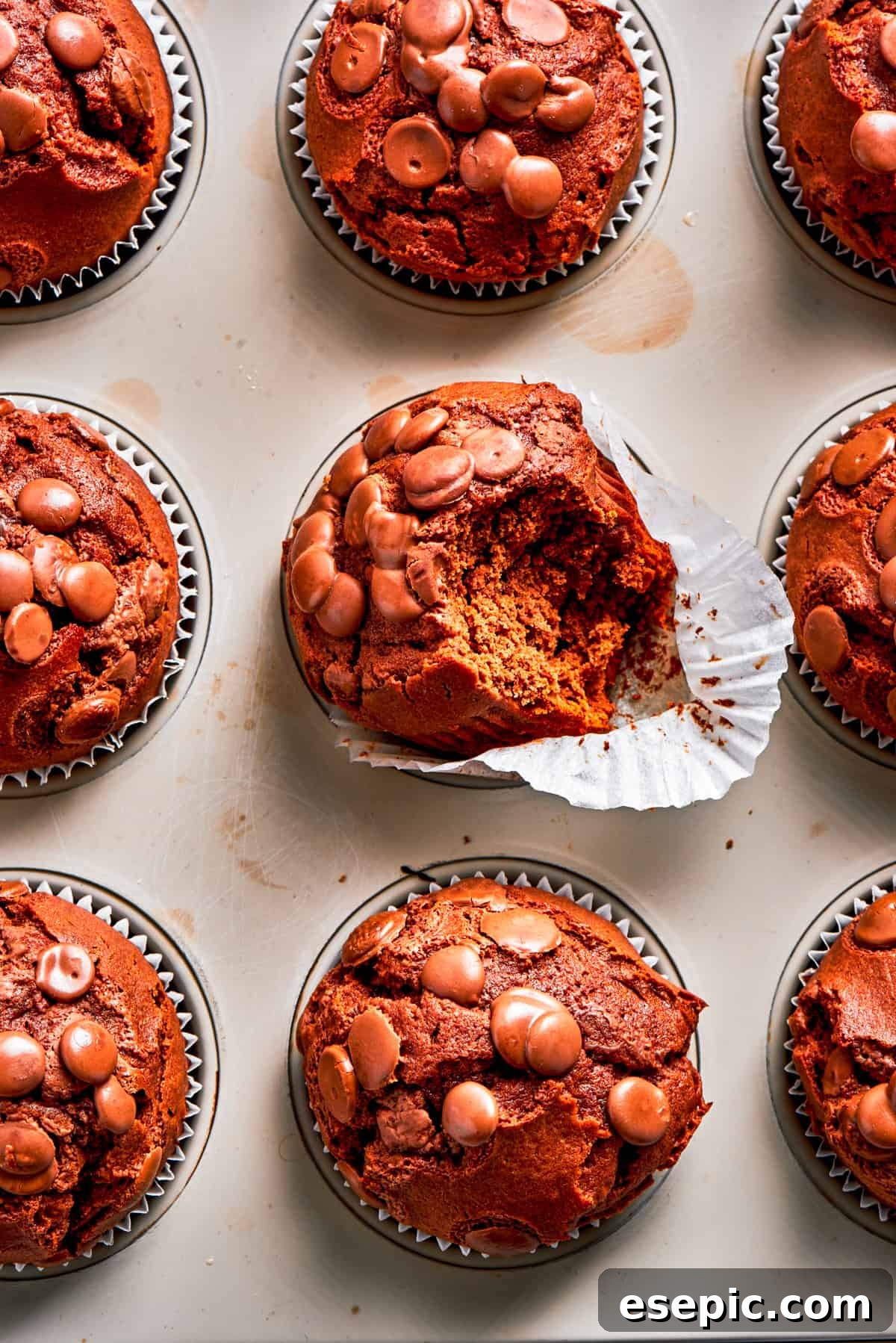 Moist and tender double chocolate muffins with high domes and plenty of chocolate chips. Close-up of fluffy chocolate muffins in patterned liners, ready to be enjoyed.