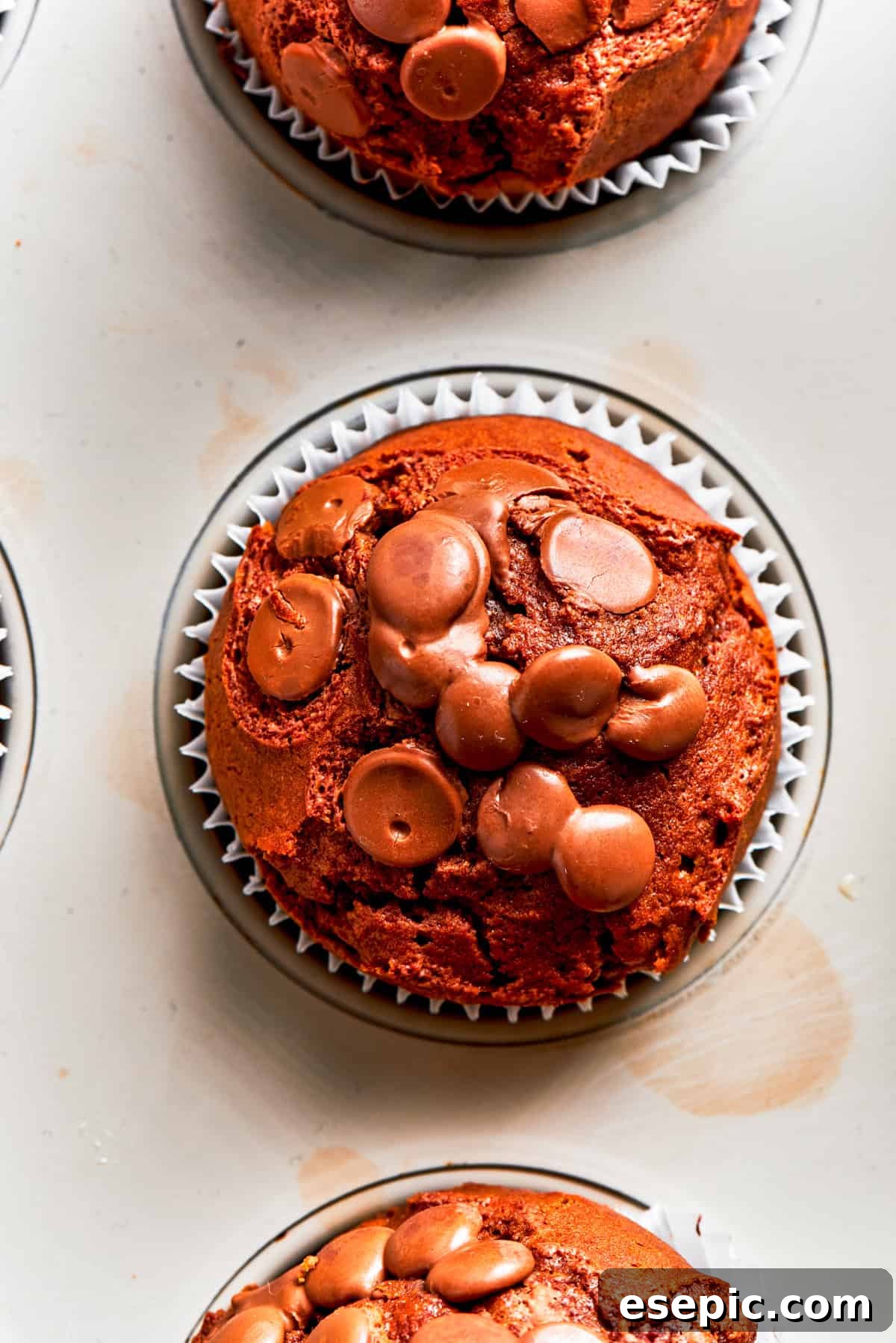 A close-up of a high-domed chocolate muffin, showcasing its texture and chocolate chips. Overhead shot showcasing the perfectly domed top of a chocolate muffin, sprinkled with chocolate chips.