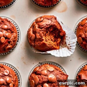 Chocolate muffins in muffin liners, showcasing their fluffy texture and generous chocolate chip topping.
