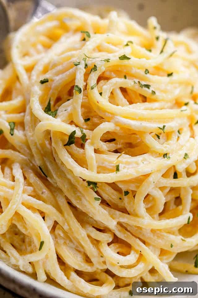 Close-up shot of creamy spaghetti, garnished with fresh herbs, ready to be served