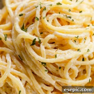 close up shot of creamy spaghetti