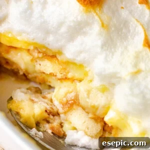 side view of scooping out banana pudding dessert