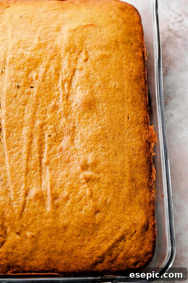 pumpkin cake in a baking dish