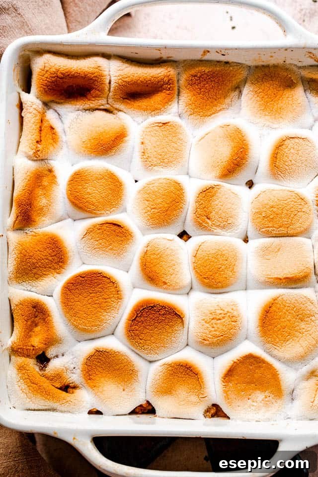S'mores-Inspired Apple Crumble 2 Crisp, golden-brown apple crumble with toasted marshmallows on top, served in a rustic baking dish, ready to be enjoyed.
