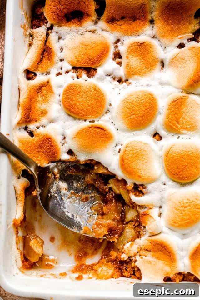 S'mores-Inspired Apple Crumble 6 A freshly baked apple crumble, still warm, crowned with perfectly toasted golden-brown marshmallows, ready to be served.