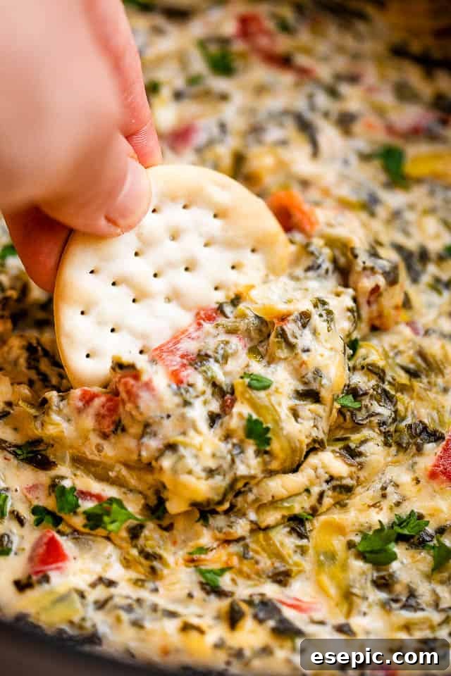 Dipping a round cracker into creamy slow cooker spinach artichoke dip, showcasing its rich texture and enticing warmth.