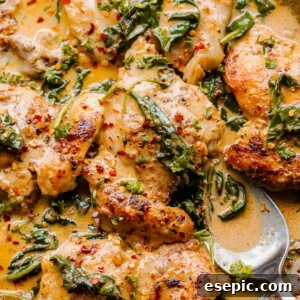 overhead shot of boneless skinless chicken thighs in a creamy sauce with spinach