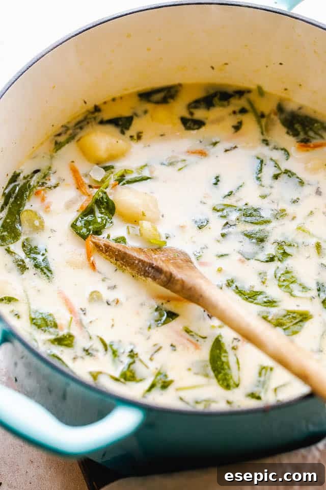 Velvety Chicken Gnocchi Soup 3 Side shot of creamy chicken gnocchi soup with spinach and chicken in a rustic Dutch oven, ready to be served.