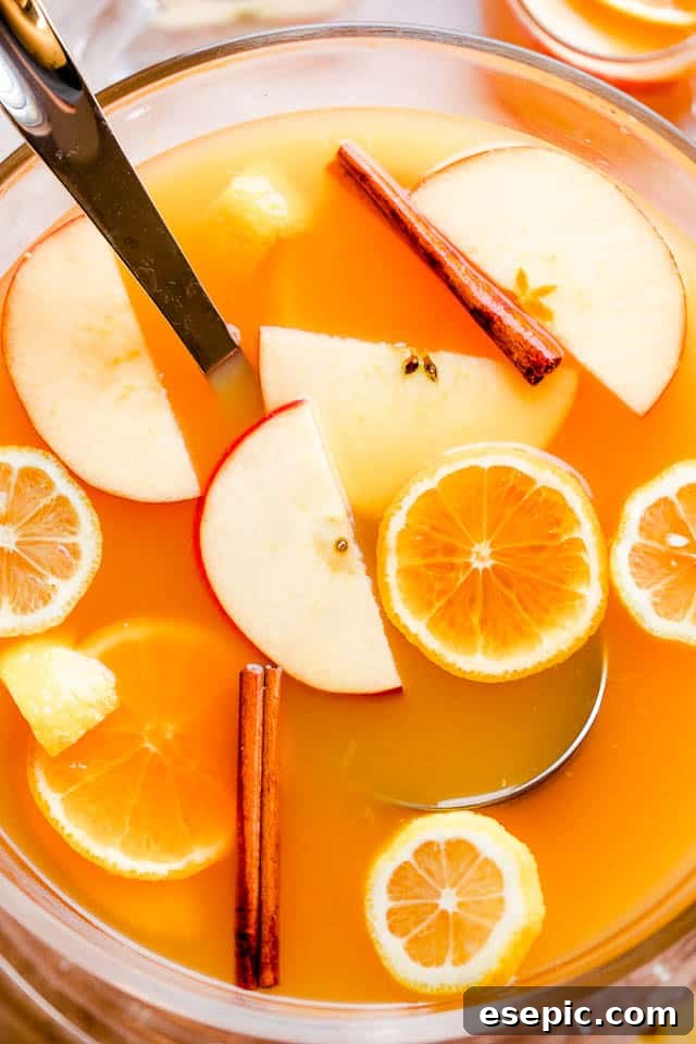 overhead shot of apple cider punch in a punch bowl with ladle and slices of fruit floating on top