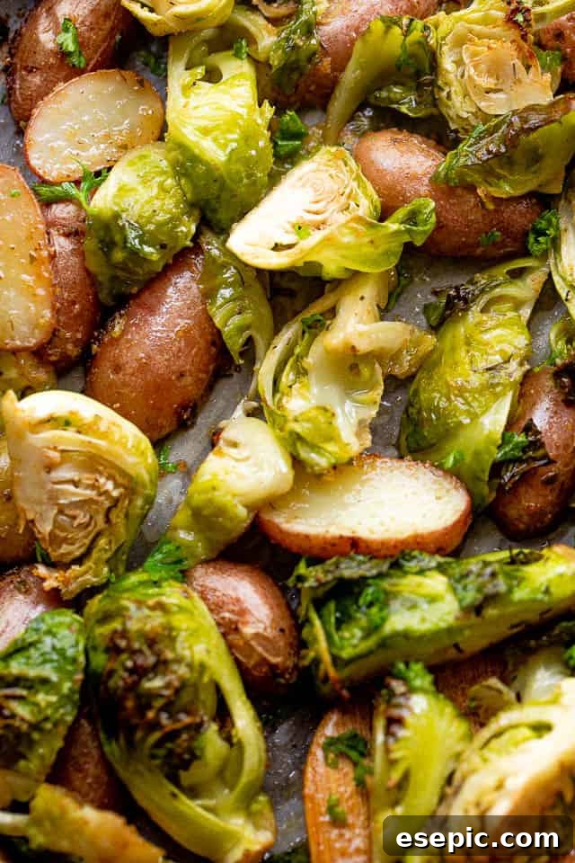 close up overhead shot of cooked brussel sprouts and fingerling potatoes