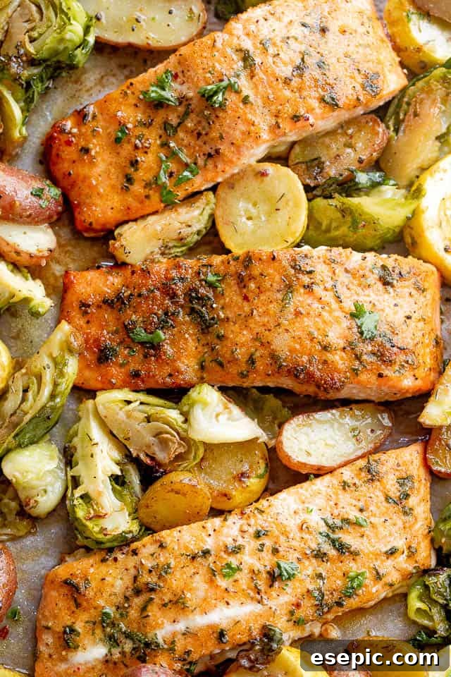 Old Bay Salmon is an easy roasted salmon recipe made with classic Old Bay seasoning! It's a flavorful and simple way to make the best flaky salmon dinner! overhead shot of roasted old bay salmon fillets with brussel sprouts and yellow squash