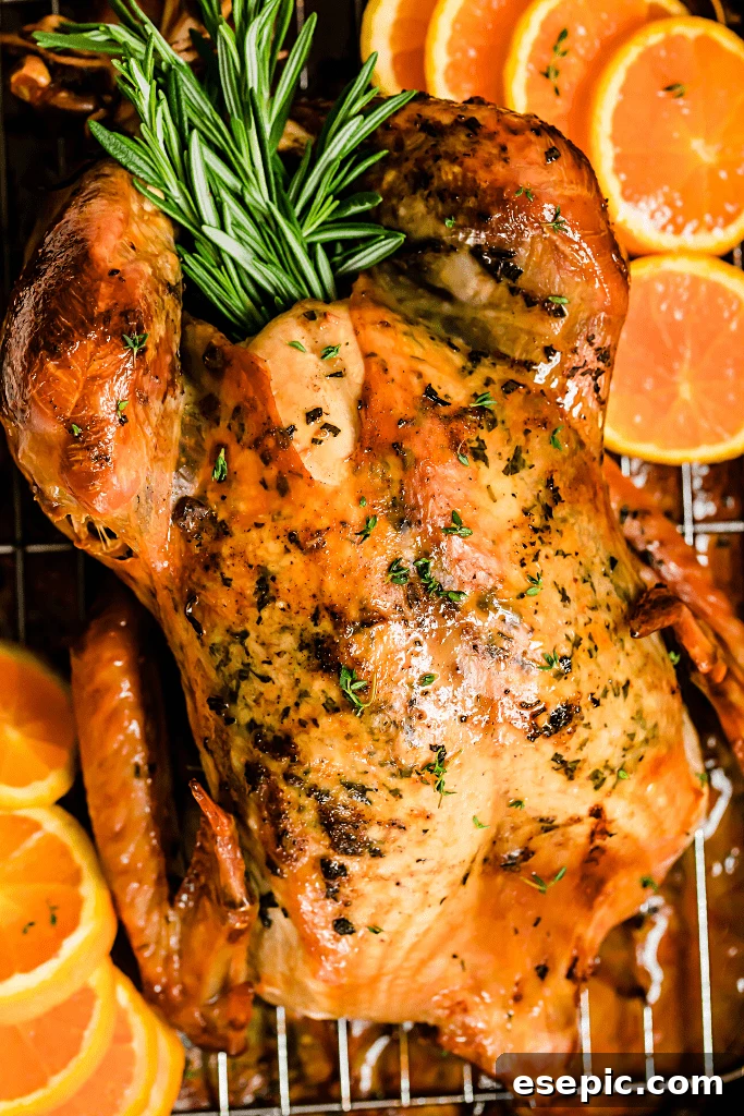 overhead close up shot of a whole roasted turkey on a roasting pan