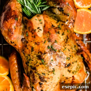 Roasted turkey in a pan with rosemary and orange slices.