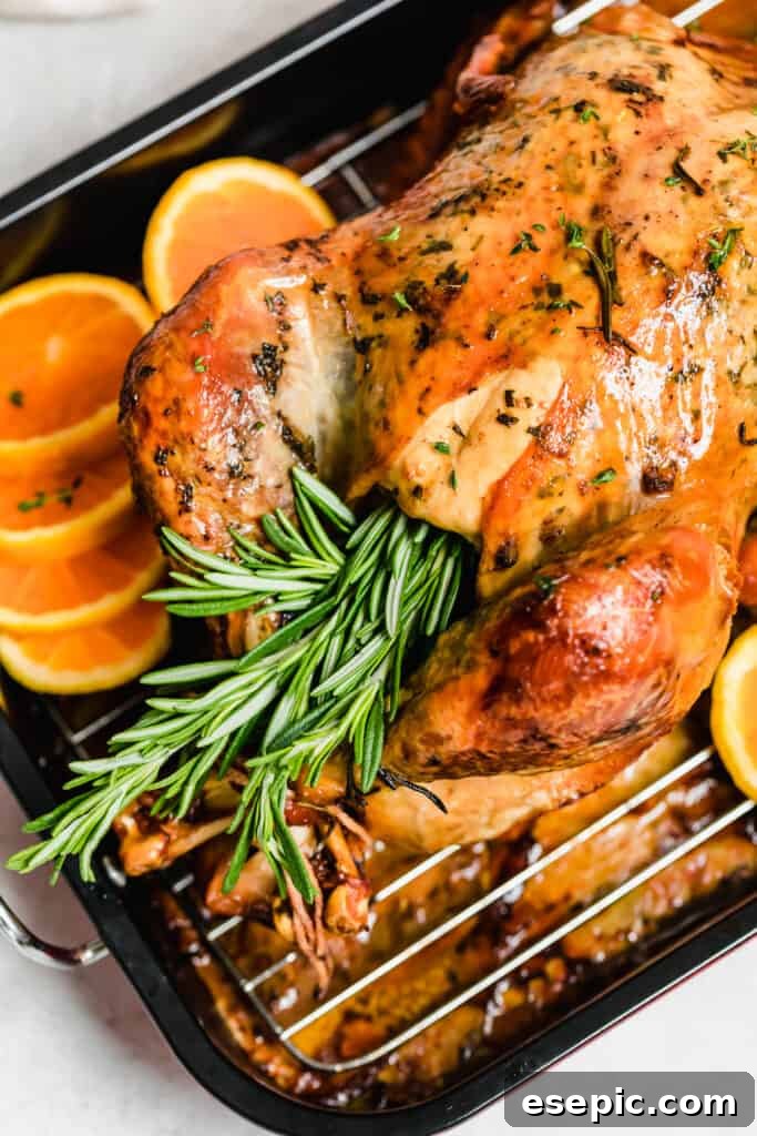 Succulent Whole Roasted Turkey 3 Close-up of a roasted turkey with fresh rosemary sprigs tucked into its cavity, emphasizing the aromatic preparation.