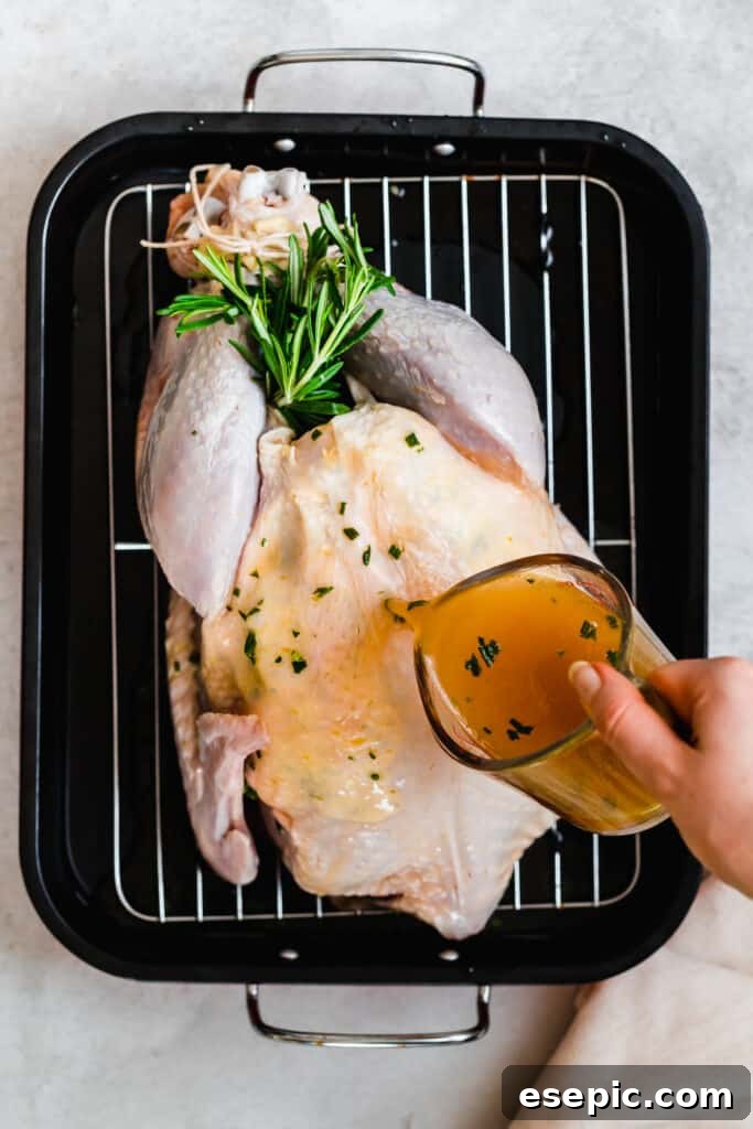 Uncooked turkey in a pan with broth being poured on top.