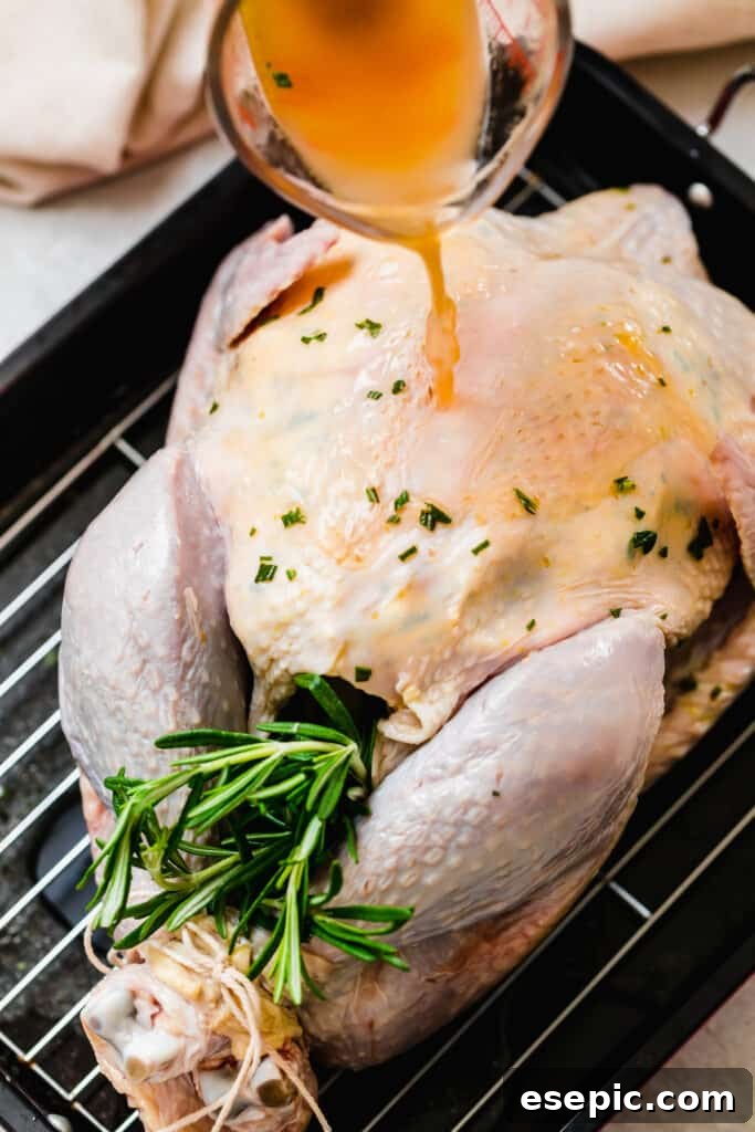 Uncooked turkey in a pan with rosemary in the cavity.