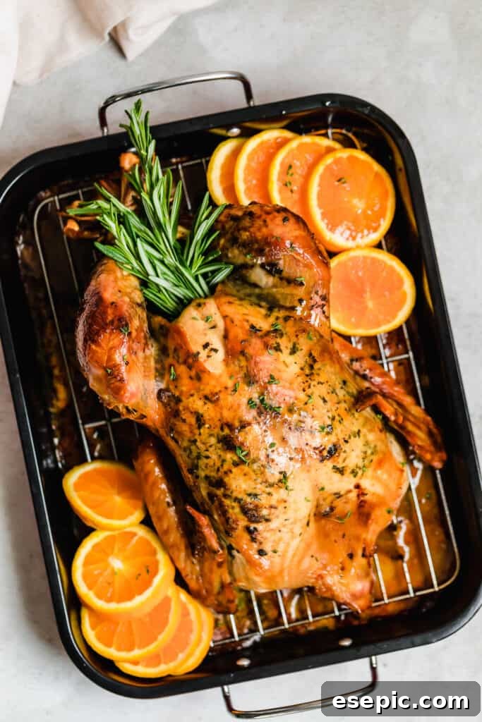 Succulent Whole Roasted Turkey 8 A perfectly roasted golden-brown turkey, adorned with fresh rosemary and orange slices, presented in a roasting pan.