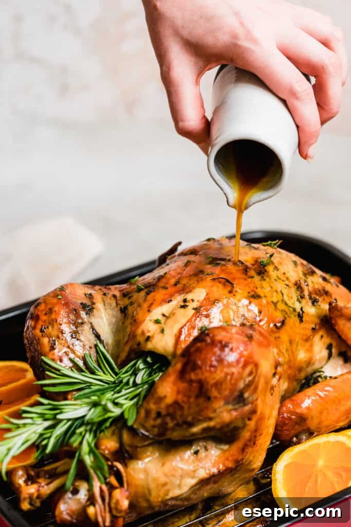 Succulent Whole Roasted Turkey 9 A close-up shot of a roasted turkey in a pan, being basted with pan juices, showcasing the moist and glossy skin.