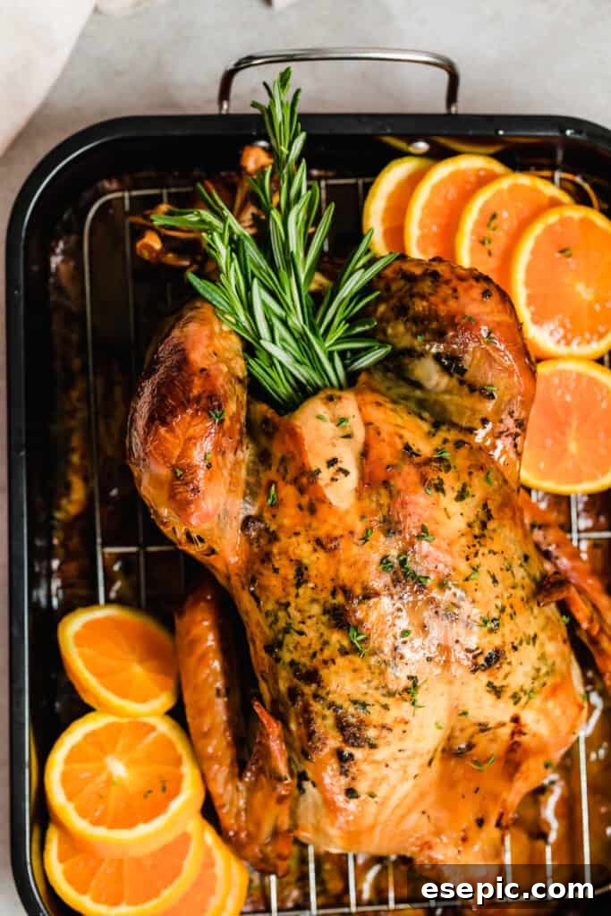 overhead shot of a whole roasted turkey on a roasting pan