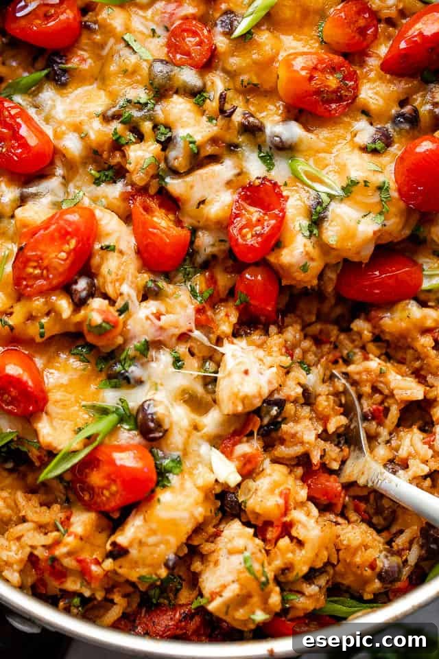Chicken Burrito Skillet is a festive, one pot meal with juicy chunks of chicken, tender rice, tangy tomatoes, black beans, and cheese. Close up shot of chicken and rice burrito skillet topped with grape tomatoes.