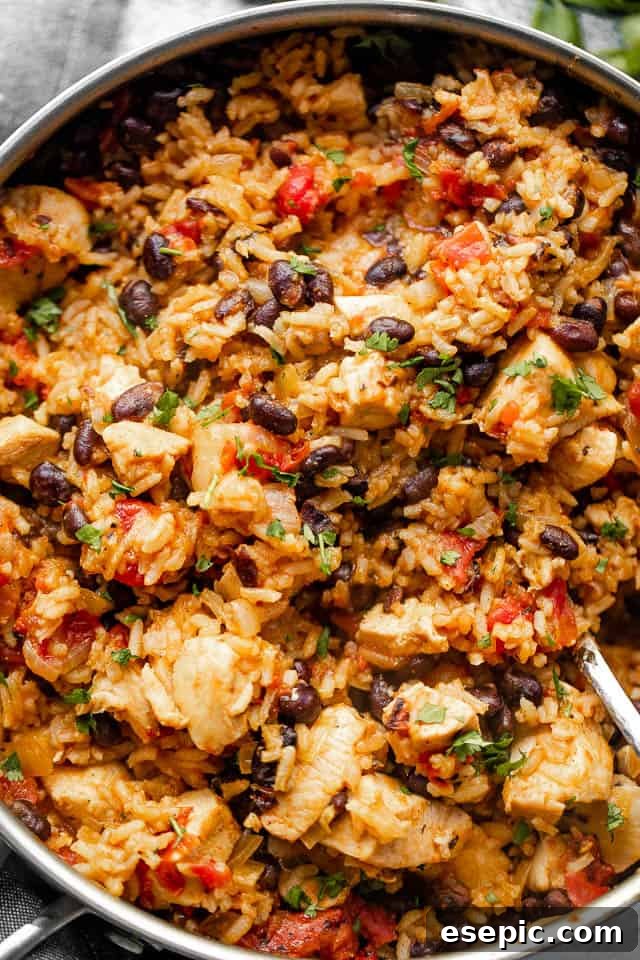 Chicken Burrito Skillet is a festive, one pot meal with juicy chunks of chicken, tender rice, tangy tomatoes, black beans, and cheese. Mixing through rice and chicken in a skillet.
