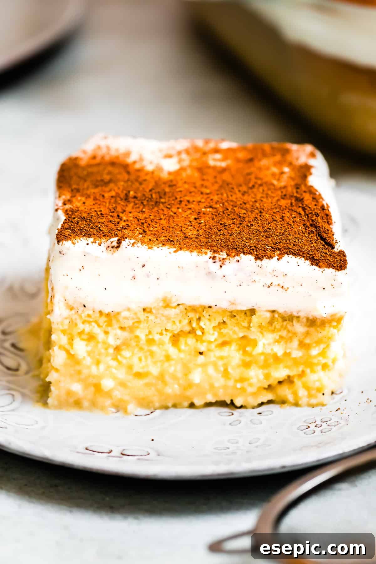 An easy Tres Leches Cake recipe with a sweet whipped cream and cinnamon topping. I use cake mix to make this Mexican dessert super simple! A perfect slice of moist milk cake, garnished with cinnamon, served elegantly on a dessert plate.