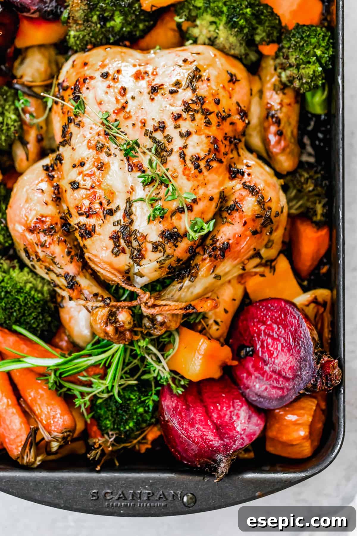 A beautifully roasted whole chicken, carved into pieces, served alongside a colorful medley of tender roasted fall vegetables on a large sheet pan, ready for a family-style dinner.