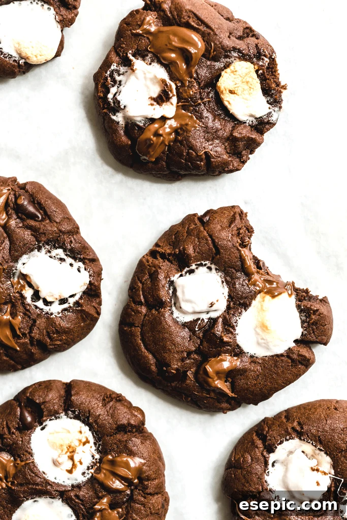 Cozy Cocoa Sugar Cookies 2 Delicious Hot Chocolate Sugar Cookies with melted marshmallows and chocolate chips.