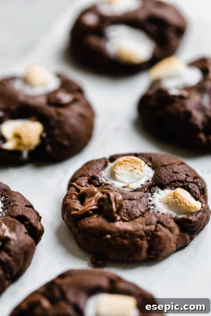 Cozy Cocoa Sugar Cookies 12 Six chocolatey sugar cookies with beautifully melted mini marshmallows on top.
