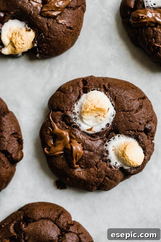 Cozy Cocoa Sugar Cookies 13 A hot chocolate cookie with two perfectly toasted marshmallows on top.
