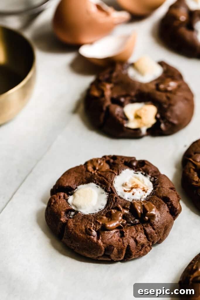 Cozy Cocoa Sugar Cookies 4 A freshly baked Hot Chocolate Sugar Cookie cooling on a wire rack.