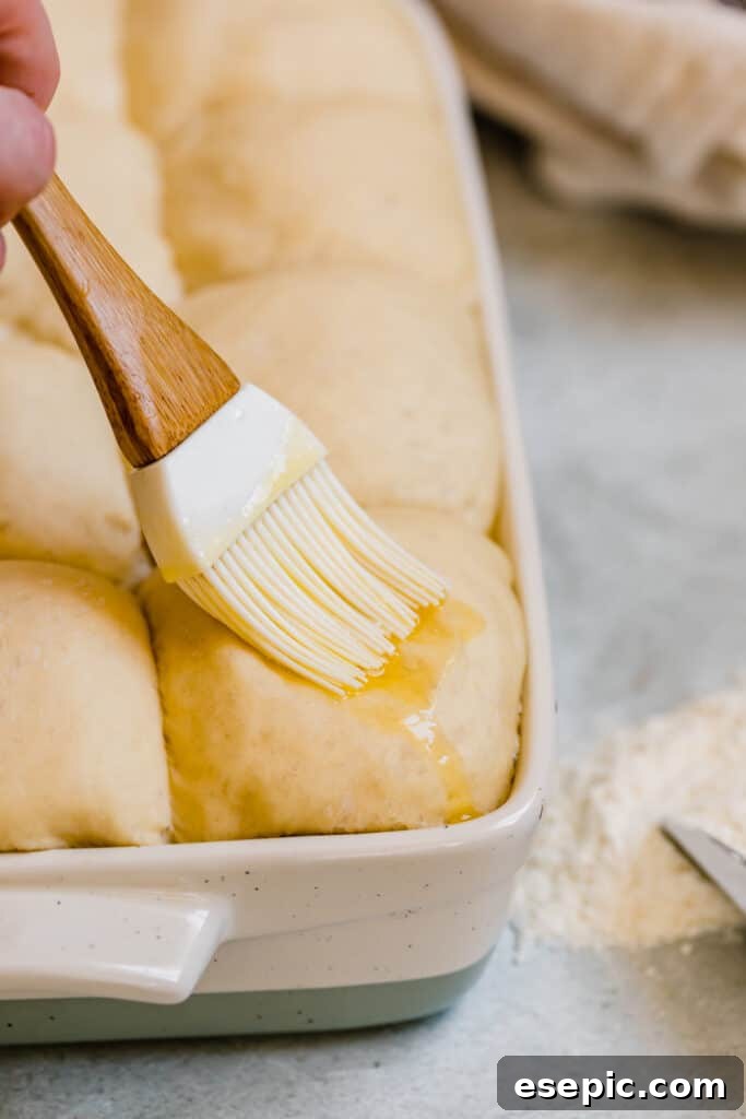 Butter Being Brushed Over Risen Parmesan Dinner Roll Dough