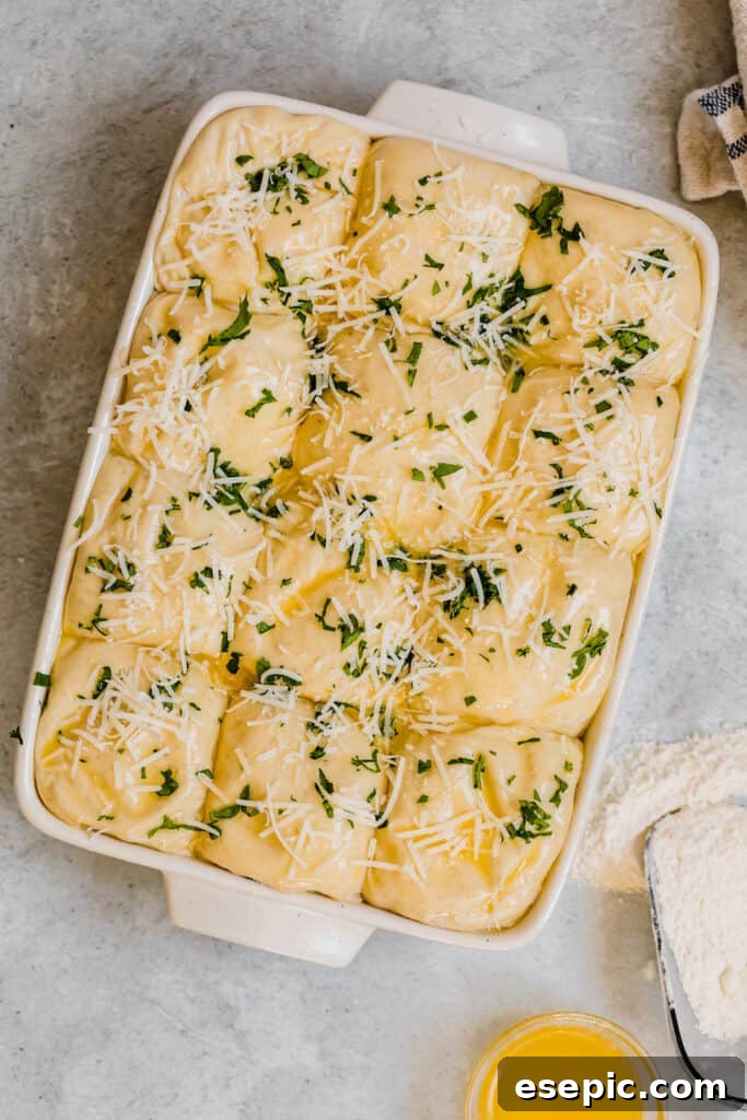 Risen Parmesan Dinner Roll Dough Topped with Parmesan Cheese and Chopped Parsley