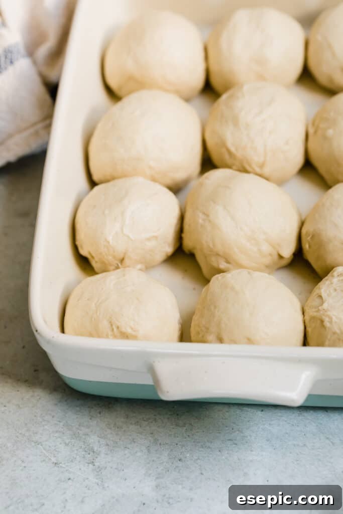 Balls of Dinner Roll Dough Lined Up in a Baking Pan