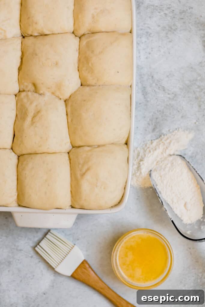 The Risen Dinner Roll Dough Balls Packed Together in the Baking Pan