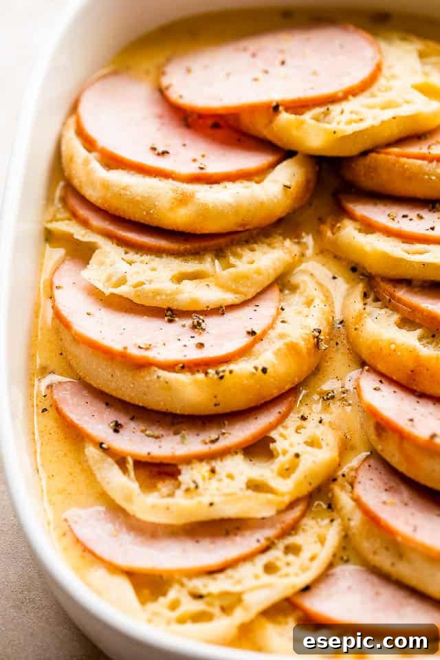 Layers of split English muffins and Canadian bacon arranged in a white baking dish, ready for the egg mixture.