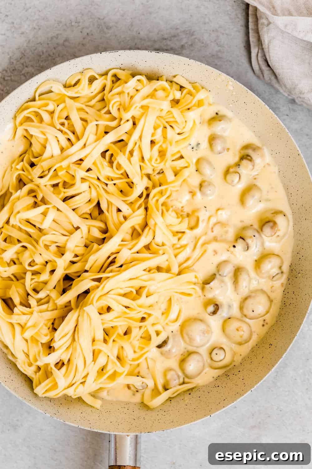Noodles and Mushrooms in a Bowl with Homemade Alfredo Sauce